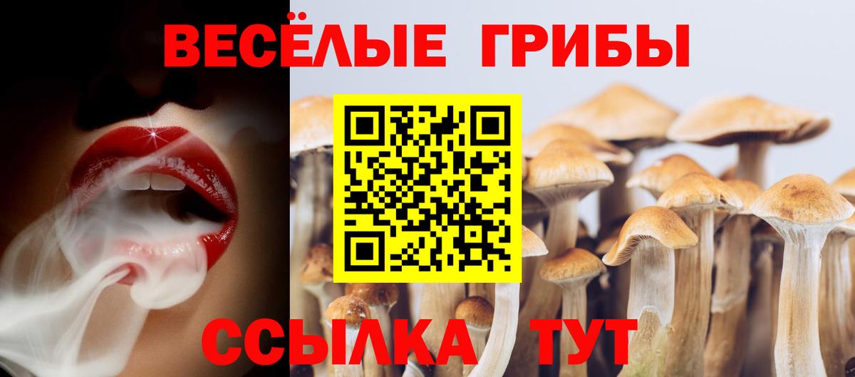 Псилоцибиновые грибы Magic Shrooms Тихвин