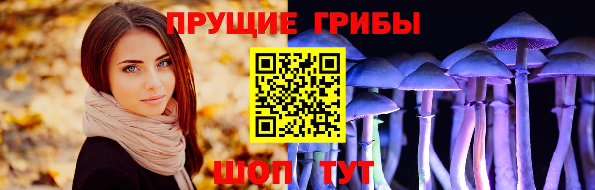 Псилоцибиновые грибы Magic Shrooms  Вход с VPN  магазин продажи   Тихвин 